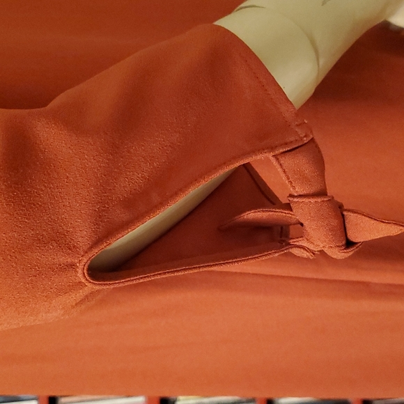 Reitmens pumpkin spice dress - Picture 7 of 7